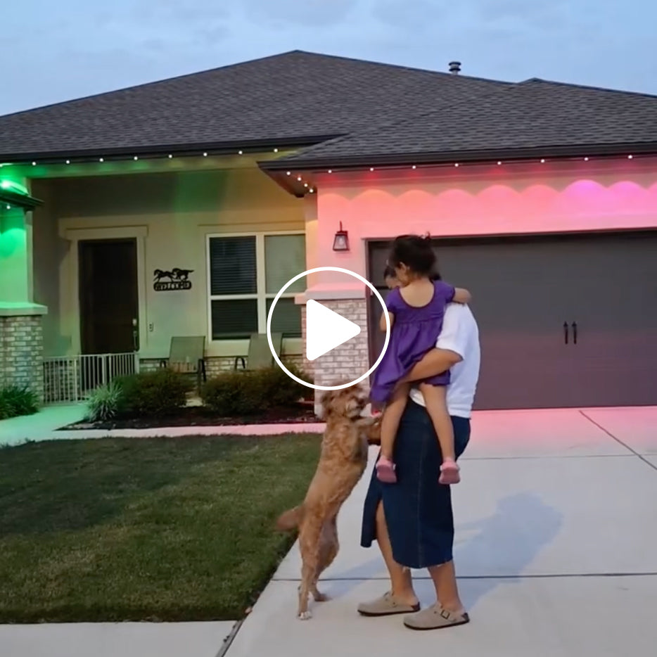 LEPRO E1 DECOR WITH FAMILY